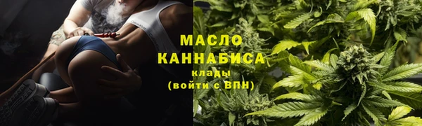 дживик Абинск