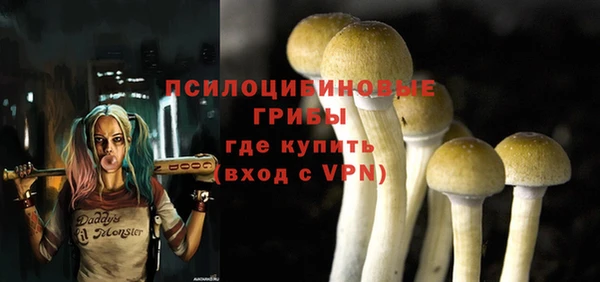 мдпв Абдулино