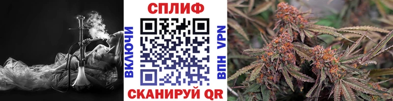 Конопля THC 21%  Новое Девяткино 